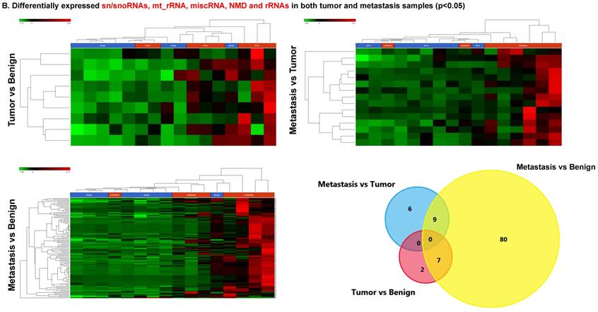 J Genomics Image