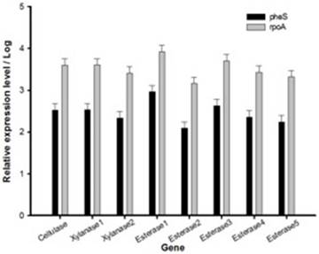 J Genomics Image