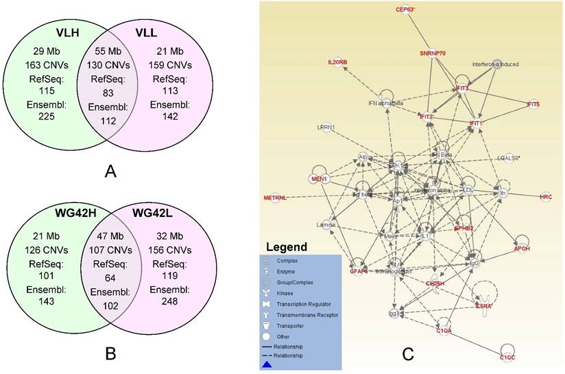 J Genomics Image