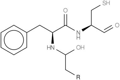 J Genomics Image