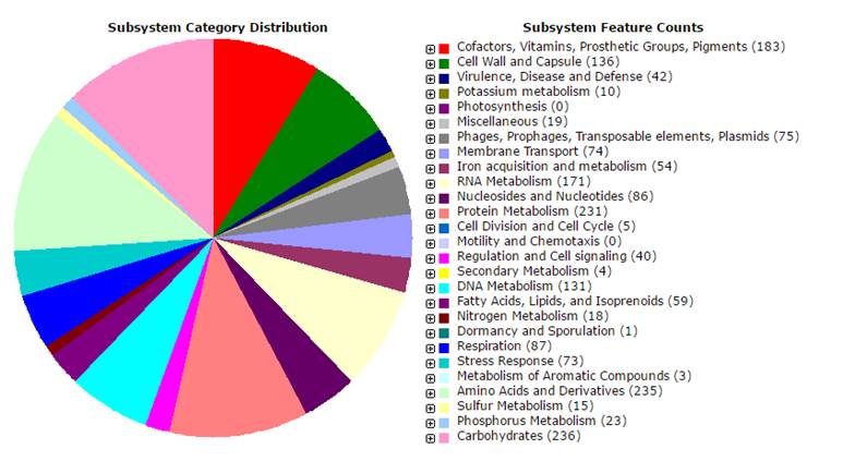 J Genomics Image