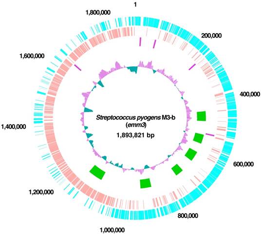 J Genomics Image