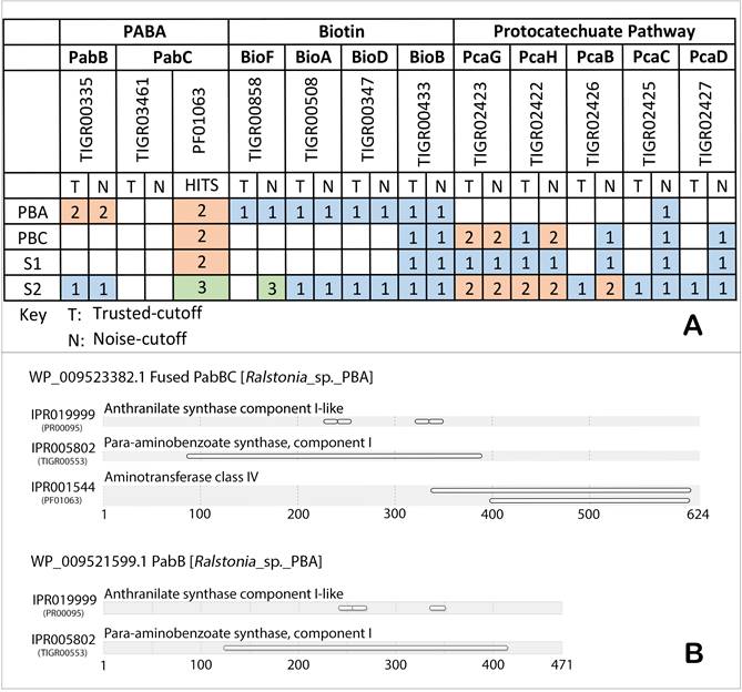 J Genomics Image