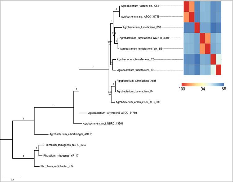 J Genomics Image