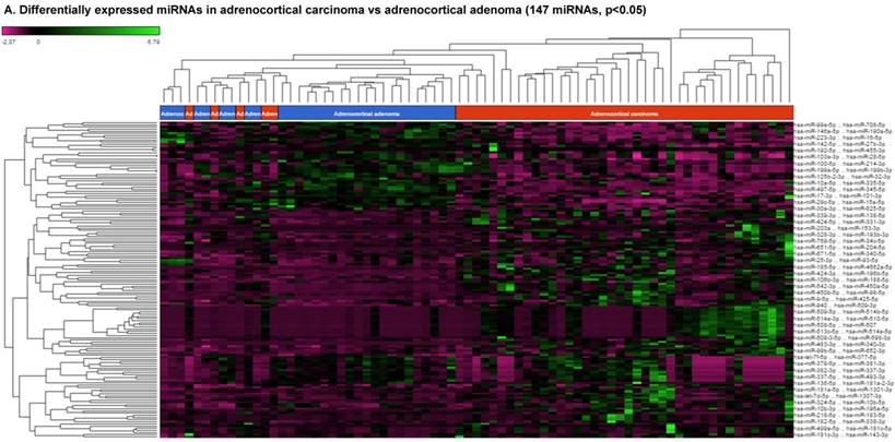 J Genomics Image