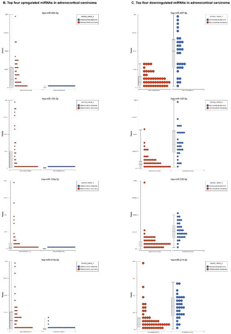 J Genomics Image