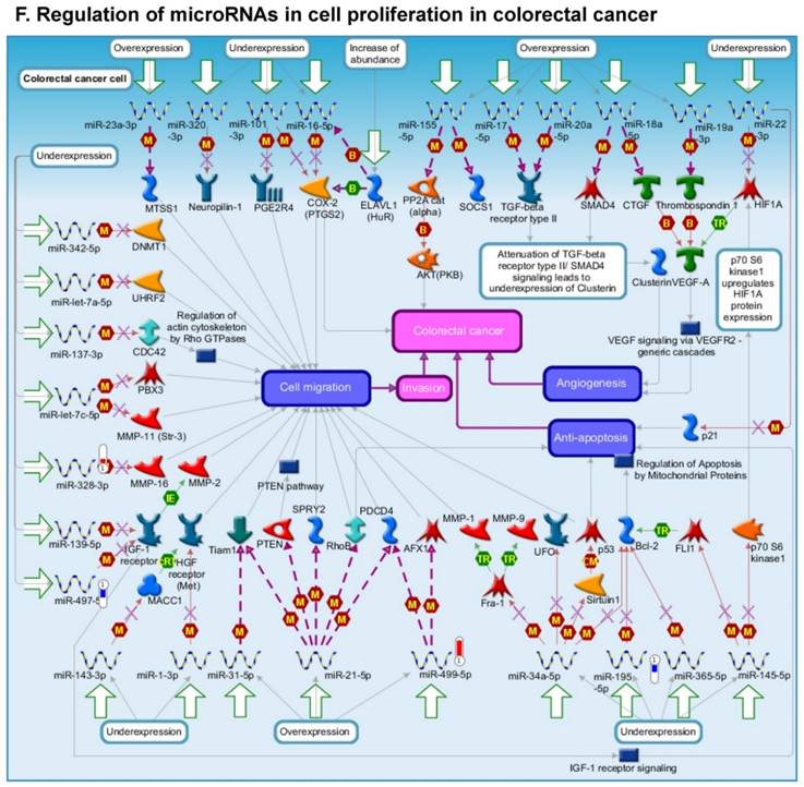 J Genomics Image