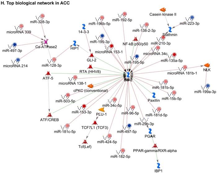 J Genomics Image