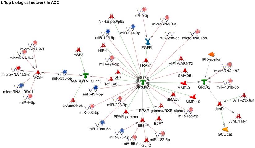 J Genomics Image