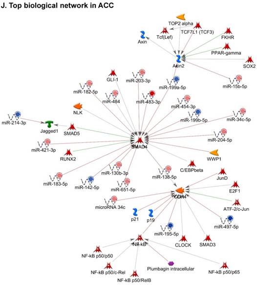 J Genomics Image