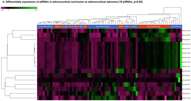 J Genomics Image