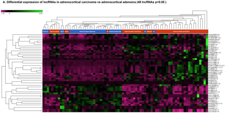 J Genomics Image