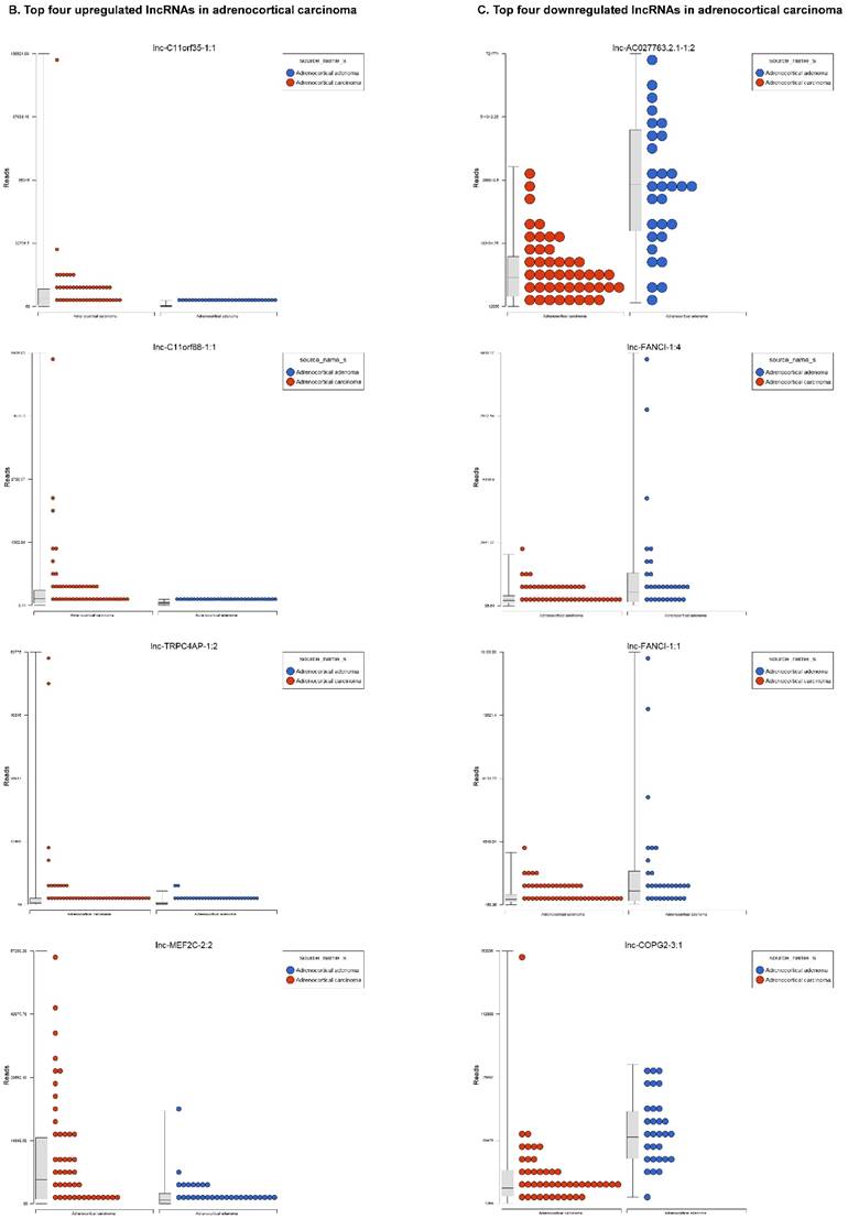 J Genomics Image