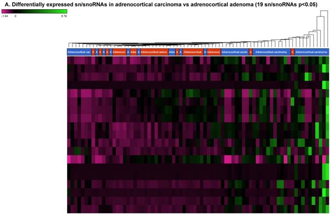 J Genomics Image