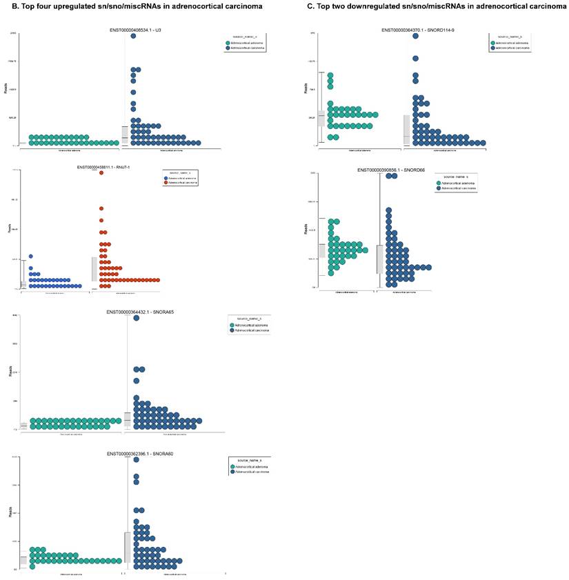 J Genomics Image