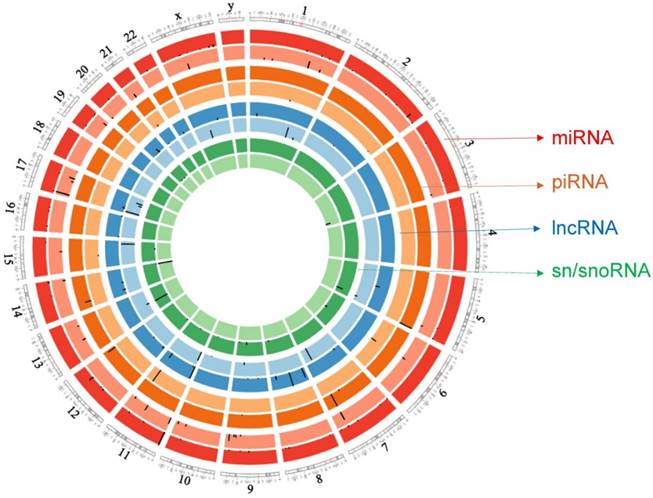 J Genomics Image