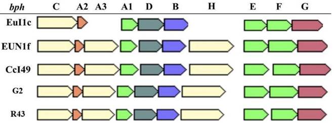 J Genomics Image