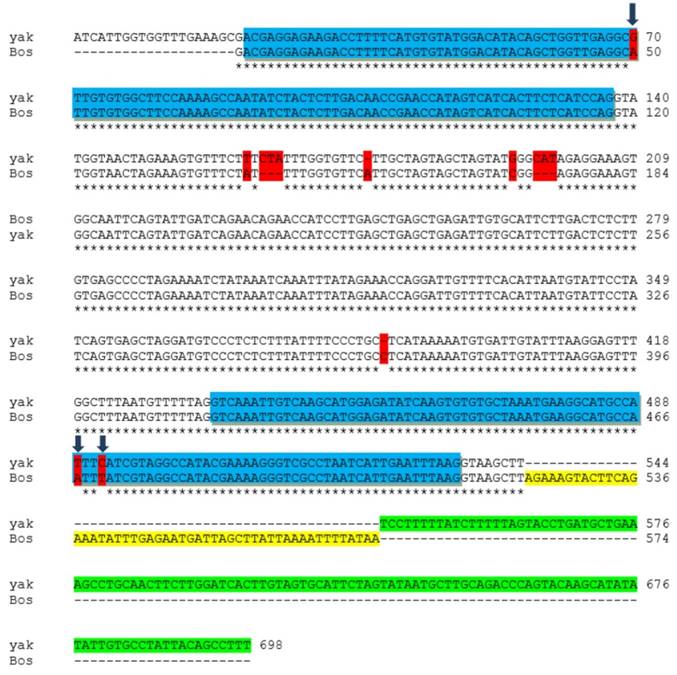 J Genomics Image