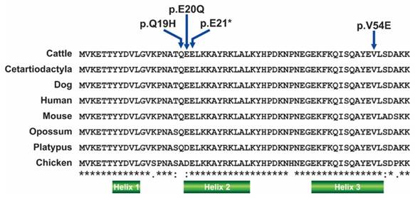 J Genomics Image