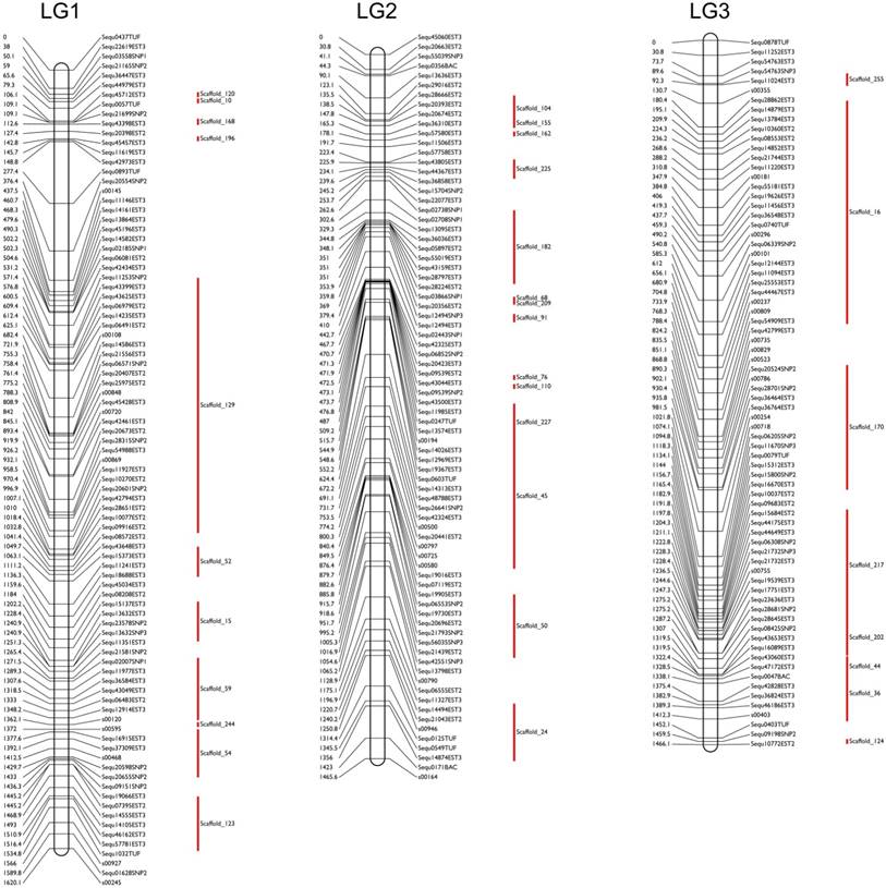 J Genomics Image