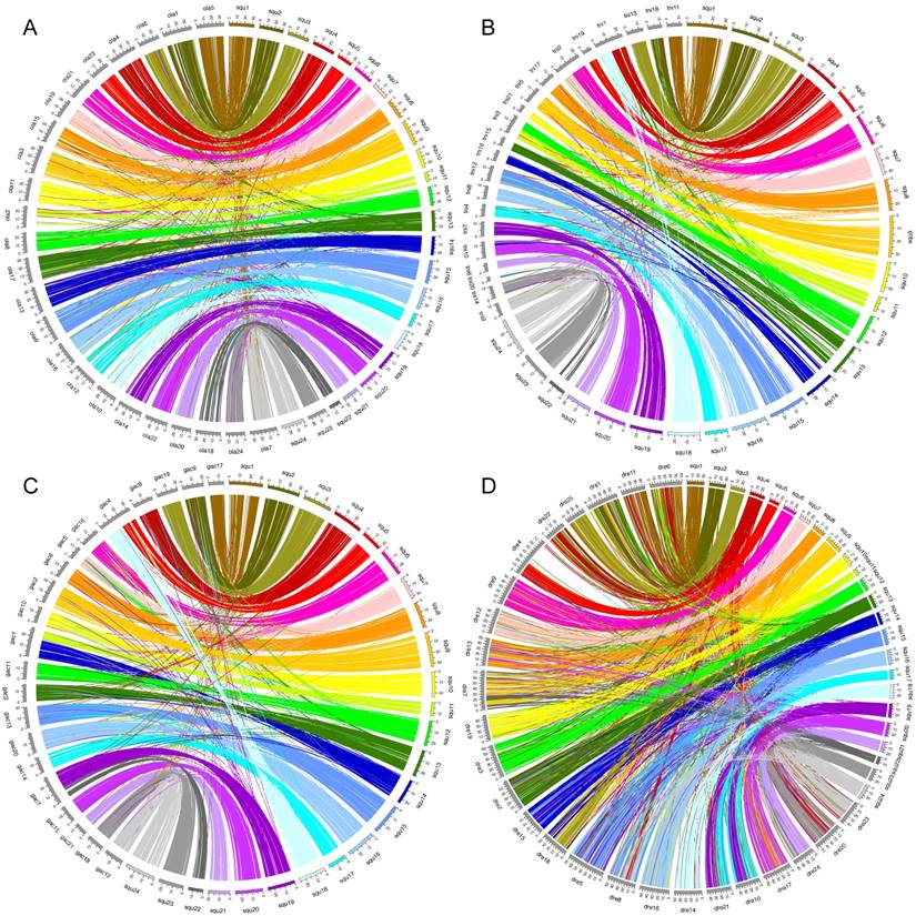 J Genomics Image