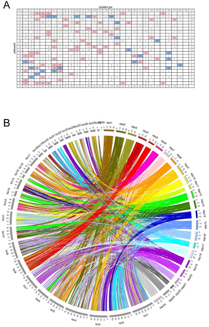 J Genomics Image