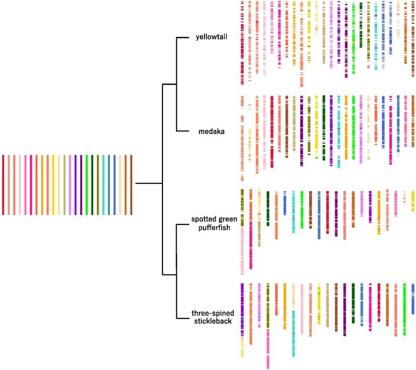 J Genomics Image