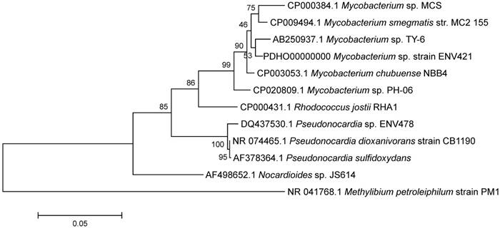 J Genomics Image