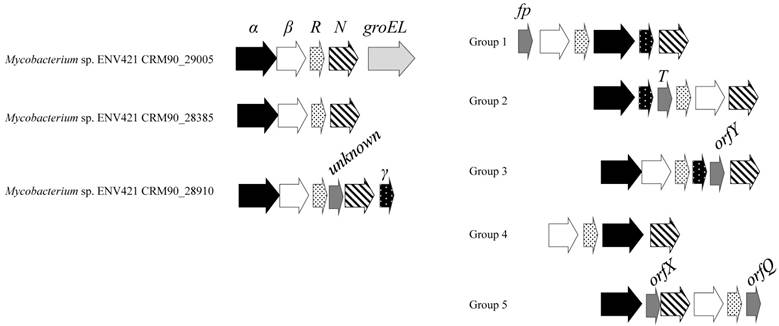 J Genomics Image