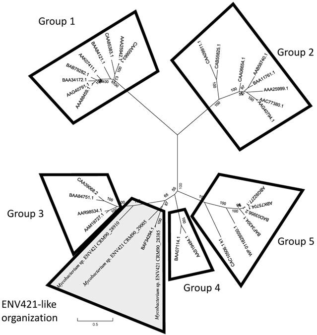 J Genomics Image