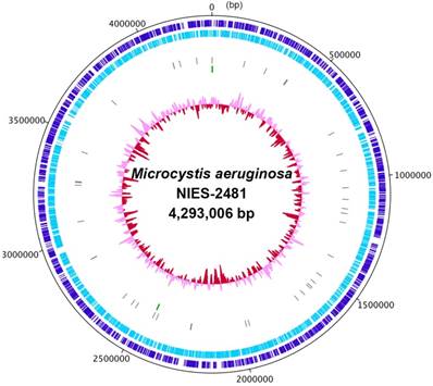 J Genomics Image