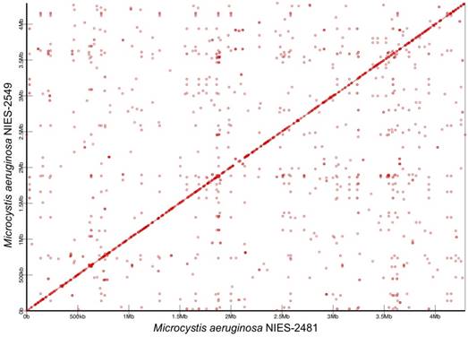 J Genomics Image