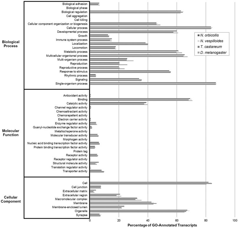 J Genomics Image