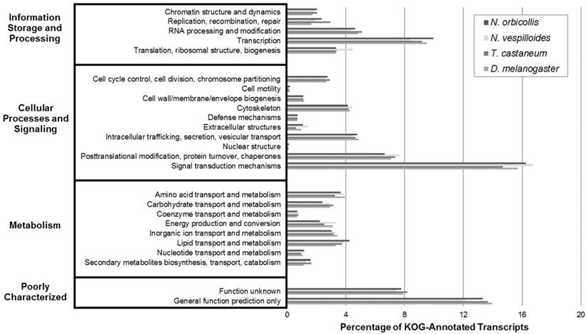 J Genomics Image