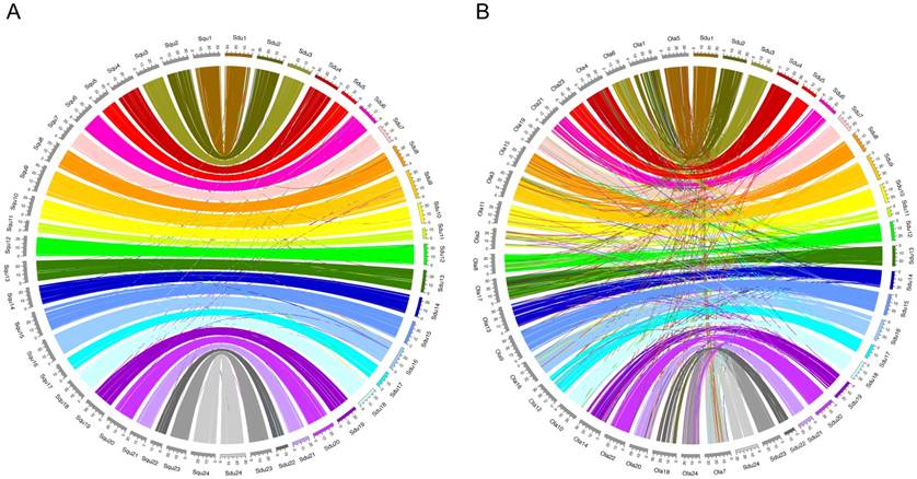 J Genomics Image