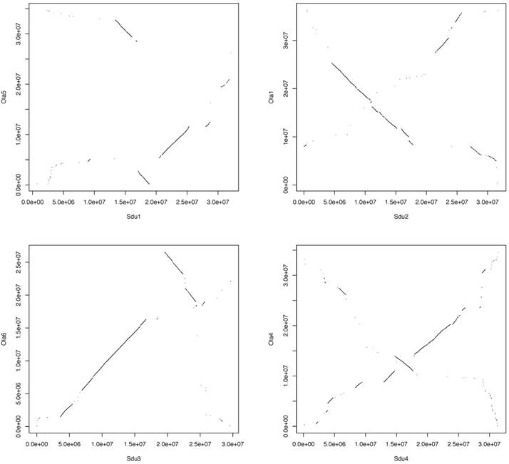 J Genomics Image