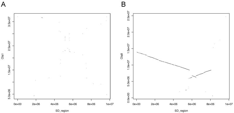 J Genomics Image