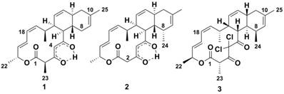 J Genomics Image