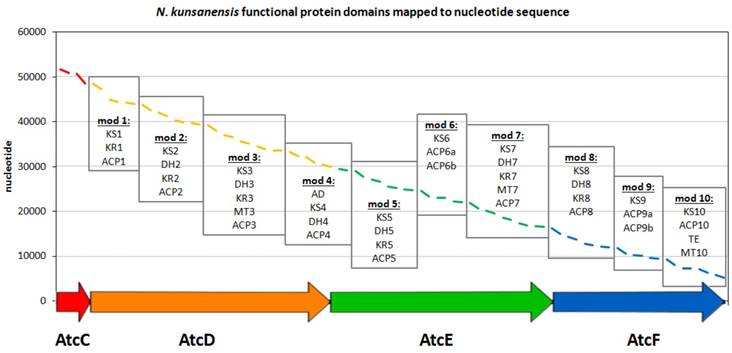 J Genomics Image