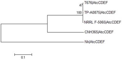 J Genomics Image