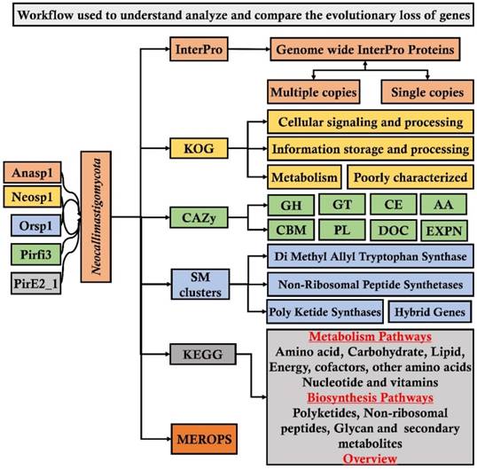 J Genomics Image