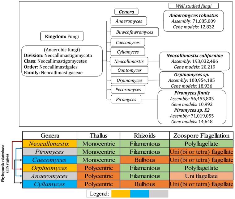 J Genomics Image