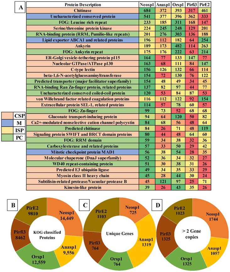 J Genomics Image