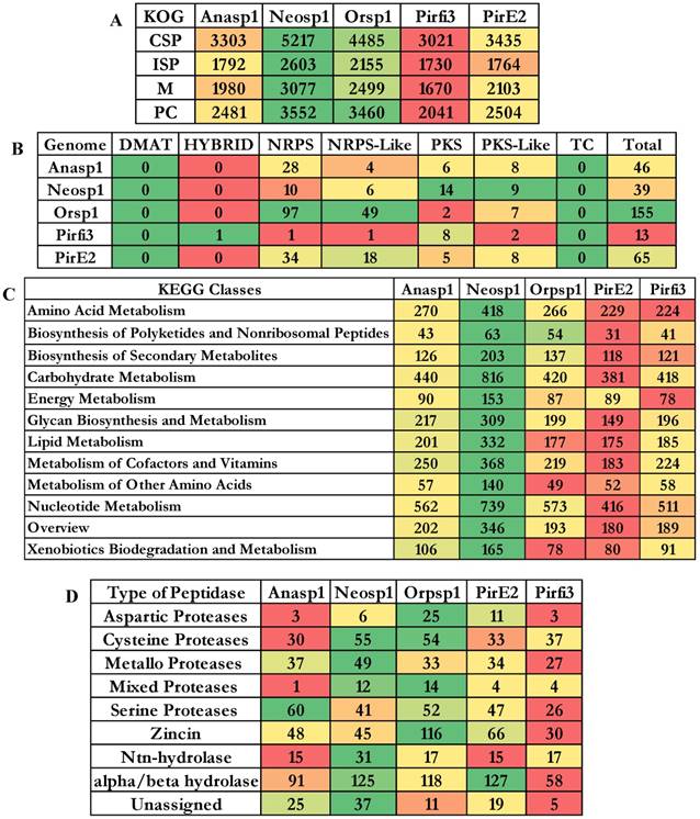 J Genomics Image