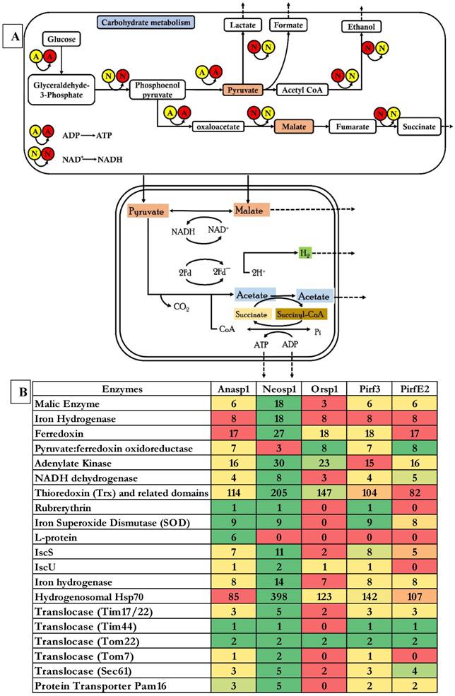 J Genomics Image