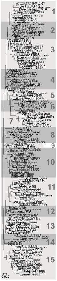 J Genomics Image