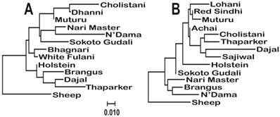 J Genomics Image