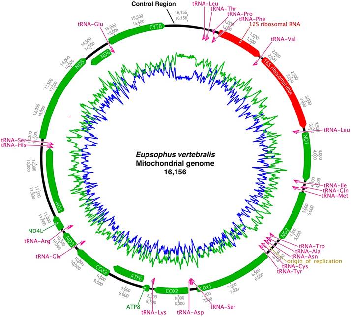 J Genomics Image