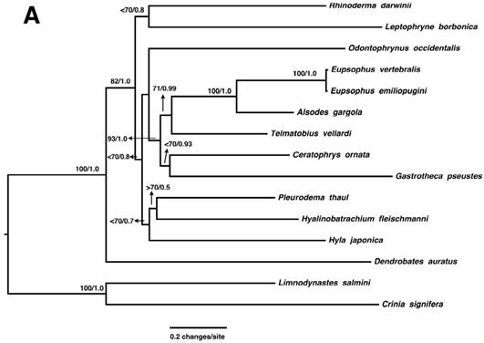 J Genomics Image