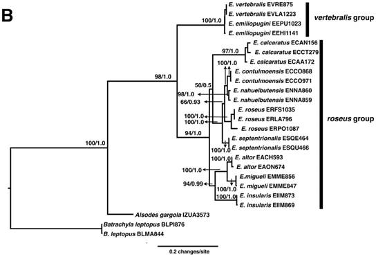 J Genomics Image